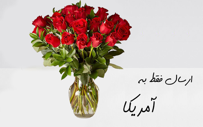 ارسال گل به امریکا