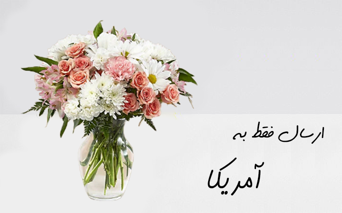 دسته گل به آمریکا